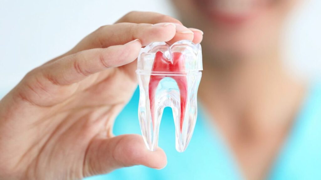 How is an Exposed Tooth Root Treated? · Livera Dental Clinic Florya Istanbul